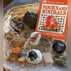 Pocket Genius Rocks and Minerals Set